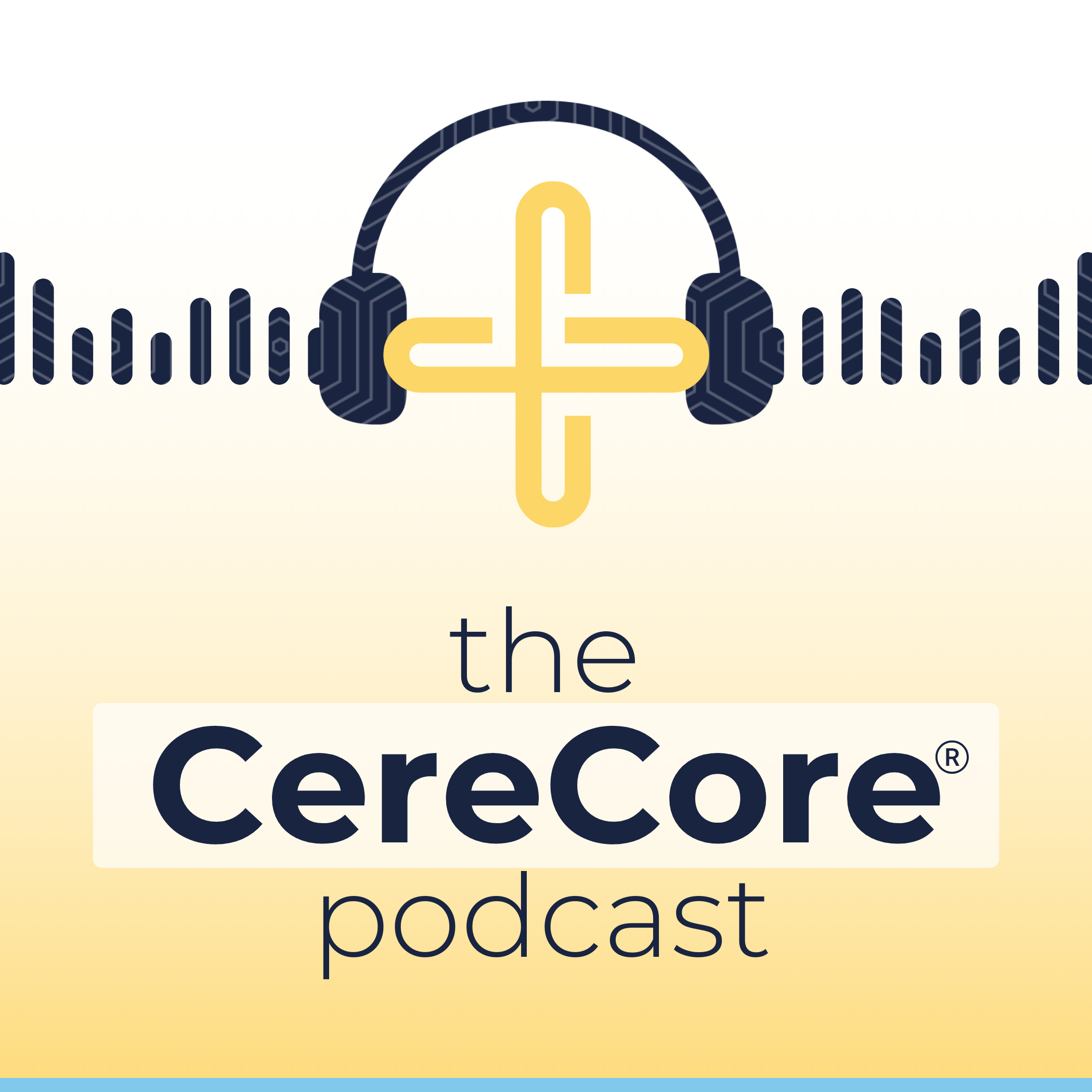 Lessons from McLaren Health Care on Delivering Healthcare IT That Works